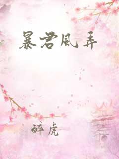 暴君风弄