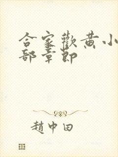 合家欢黄小梅全部章节