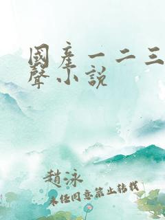 国产一二三区有声小说