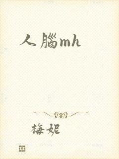 人脑mh