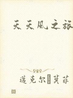 天天风之旅辅助