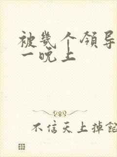 被几个领导玩弄一晚上