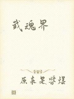 武魂界