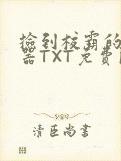 捡到校霸的遥控器TXT免费阅读