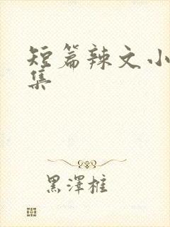 短篇辣文小说合集