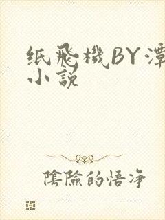 纸飞机BY潭石小说