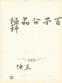 极品公子百度百科