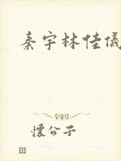 秦宇林佳仪小说