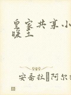 皇家共享小公主暖玉