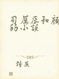 司厉辰和颜辞兮的小说