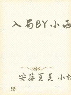 入局BY小西