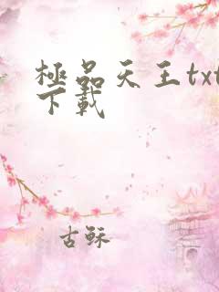 极品天王txt下载