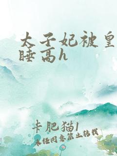 太子妃被皇上强睡高h