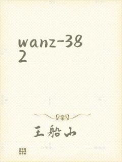 wanz-382