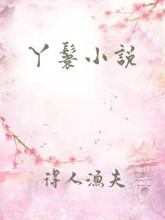 丫鬟小说