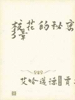 校花的秘密第23章