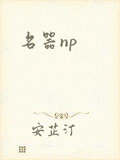 名器np