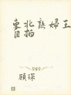 东北熟妇王梅娟自拍