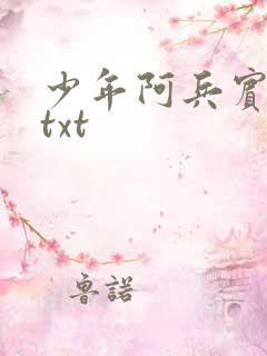 少年阿兵宾小说txt