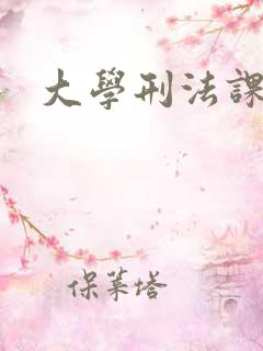 大学刑法课