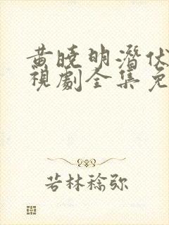 黄晓明潜伏者电视剧全集免费观看