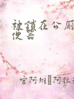 被锁在公厕当坐便器