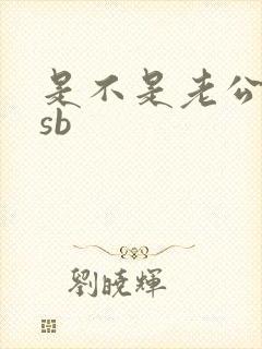 是不是老公的小sb