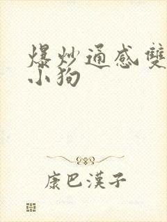 爆炒通感双胞胎小狗