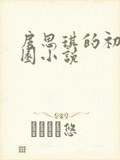 房思琪的初恋乐园小说