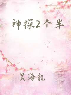 神探2个半