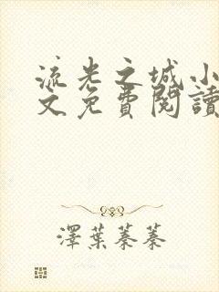 流光之城小说全文免费阅读