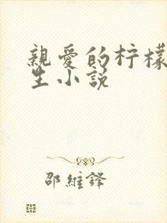 亲爱的柠檬精先生小说