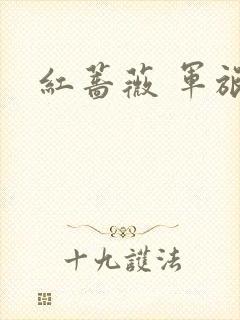 红蔷薇 军旅文