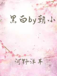 黑白by朝小诚