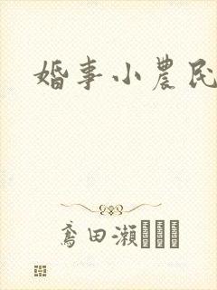 婚事小农民
