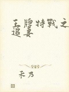 王牌特战之军少追妻