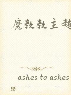 魔教教主赵小猫