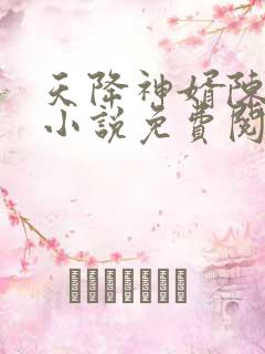 天降神婿陈黄皮小说免费阅读