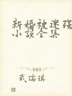 新婚被迷强系列小说全集