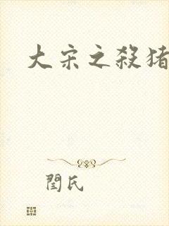 大宋之杀猪状元