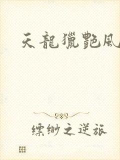 天龙猎艳风流