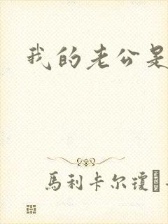 我的老公是冥王