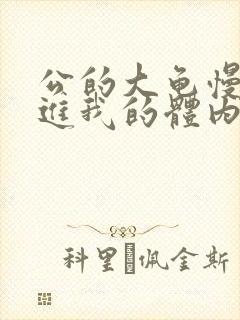 公的大龟慢慢挺进我的体内视频