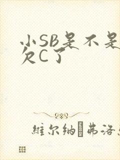 小SB是不是又欠C了