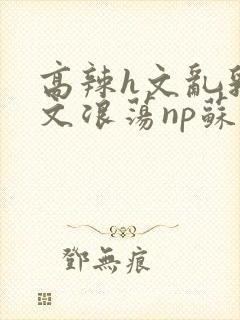 高辣h文乱乳h文浪荡np苏夏