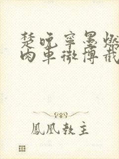 楚晚宁墨燃所有肉车微博截图