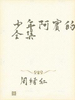 少年阿宾的故事全集