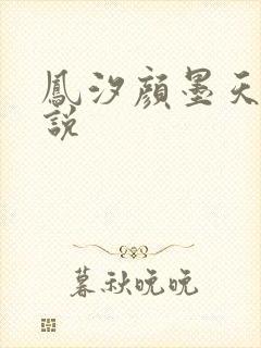 凤汐颜墨天问小说
