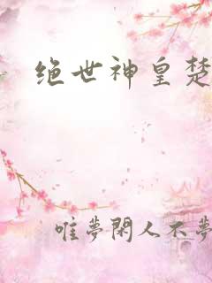 绝世神皇楚风