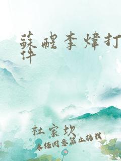 苏醒李炜打架事件